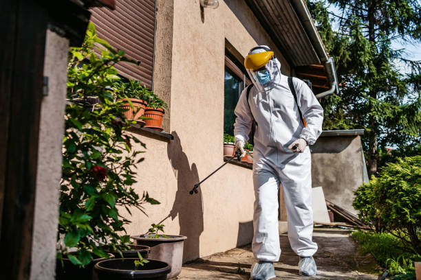 Best Best Pest Control Companies  in Ivanhoe, TX