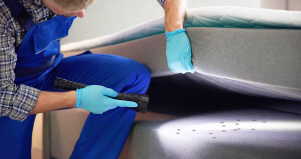 Best Flea Control Services  in Ivanhoe, TX