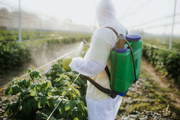 Best Ant Control Services  in Ivanhoe, TX